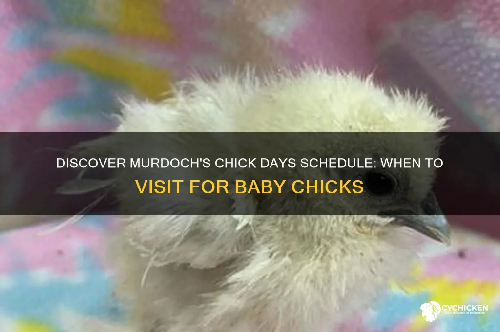 when are chick days at murdoch