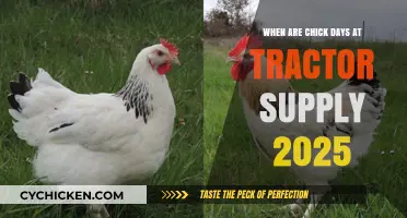 Chick Days 2025 at Tractor Supply: Dates and Details
