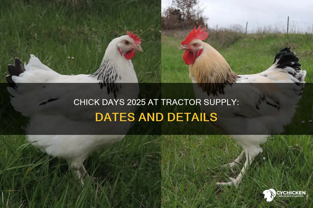 when are chick days at tractor supply 2025