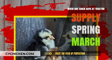 Spring Chick Days: Tractor Supply's March Event