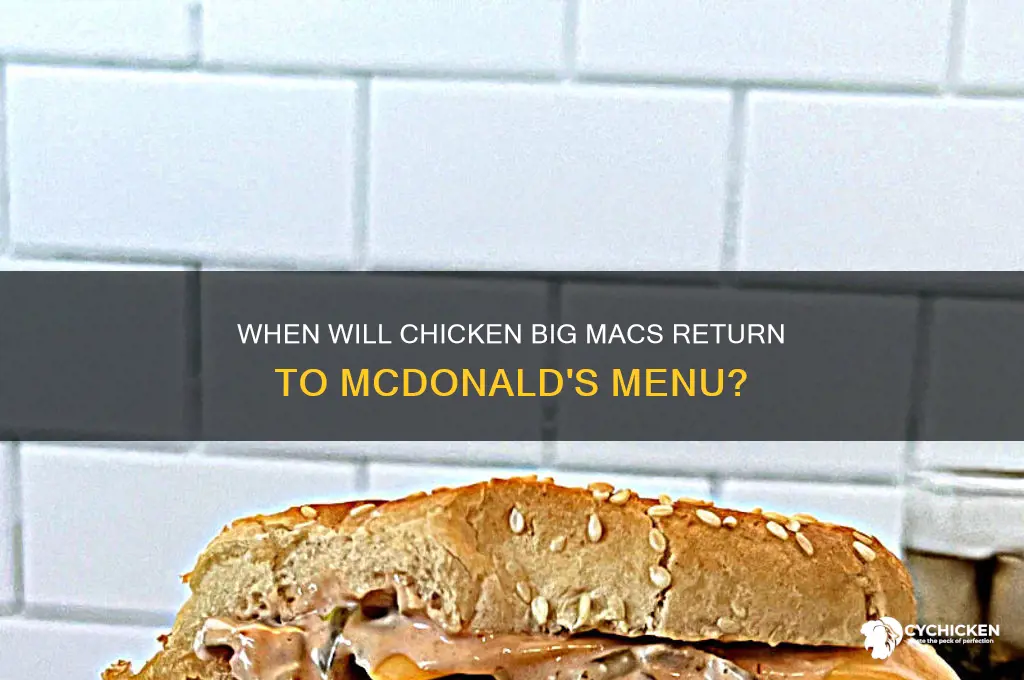 when are chicken big macs coming back