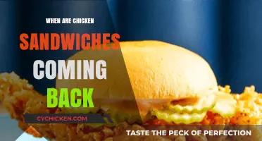 When Are Chicken Sandwiches Returning? Fans Eagerly Await Comeback