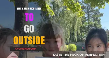 When Can Chicks Safely Explore the Great Outdoors?
