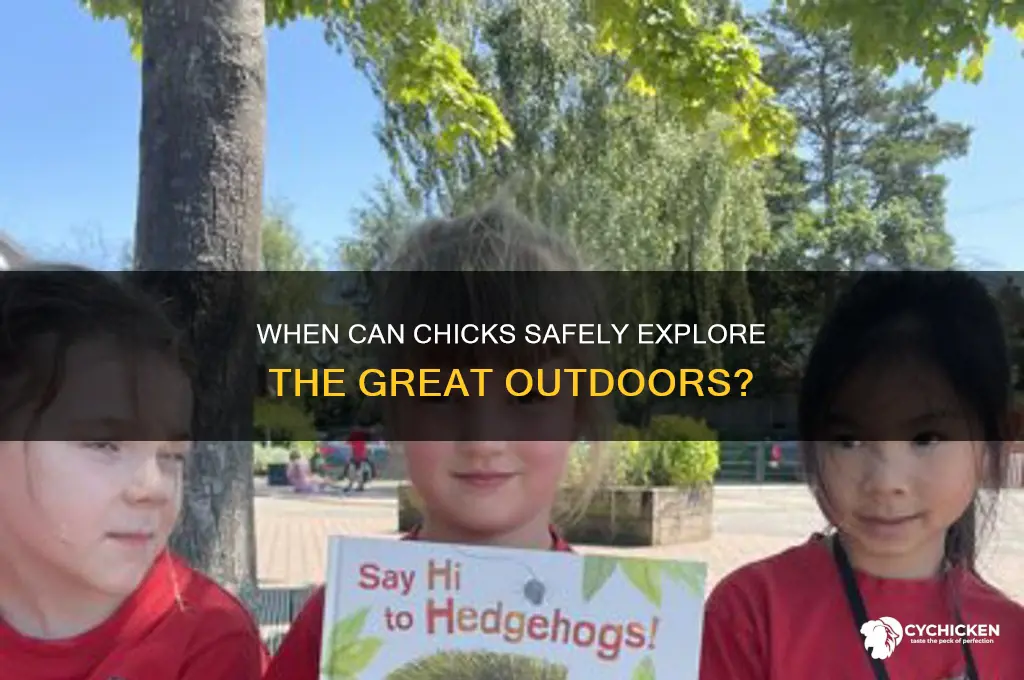 when are chicks able to go outside