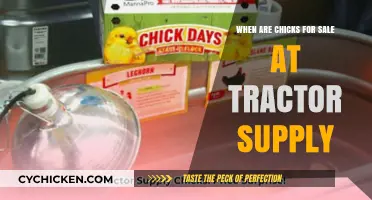 Springtime Savings: When to Find Chicks at Tractor Supply