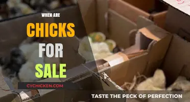 Springtime Savings: Get Your Chicks Now!