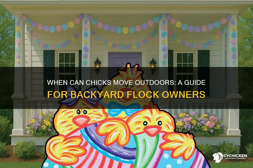 when are chicks ready to live outside