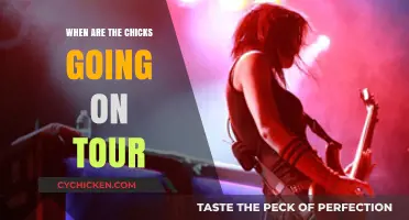 Chicks Tour Dates: When Will They Hit the Road Again?