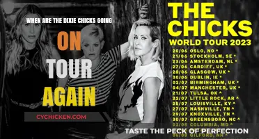 Dixie Chicks Tour: When Will They Return to the Stage?