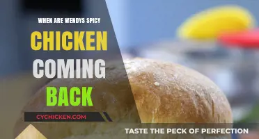 Wendy's Spicy Chicken Return: When Can Fans Expect It Back?