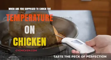 Checking Chicken Temperature: When to Do It?