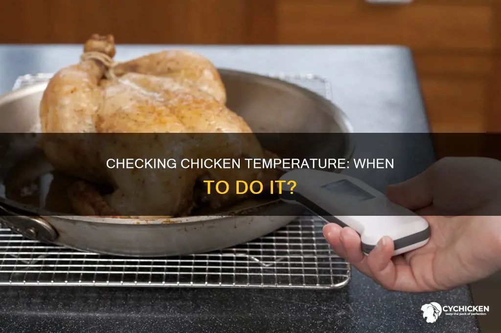 when are you supposed to chrck the temperature on chicken
