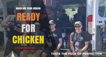 When Are Your Chacos Ready for Chicken? A Wearer's Guide
