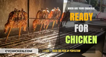 Perfect Charcoal Timing: When to Grill Your Chicken to Perfection