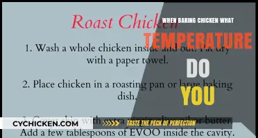 Perfectly Baked Chicken: Ideal Temperature Tips for Juicy Results