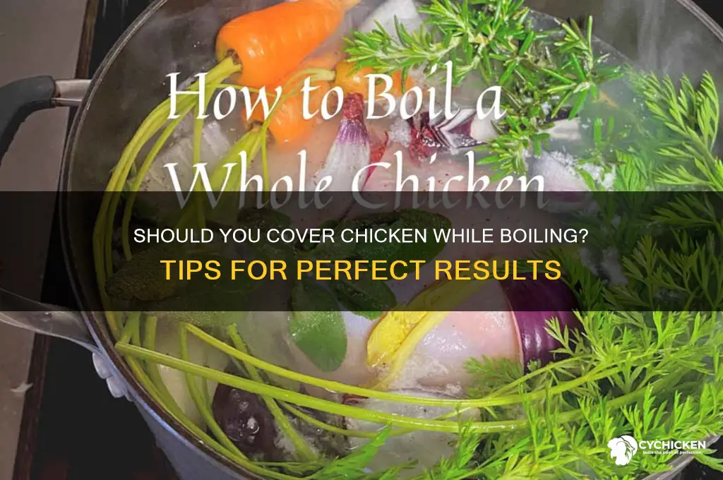 when boiling chicken do you cover it