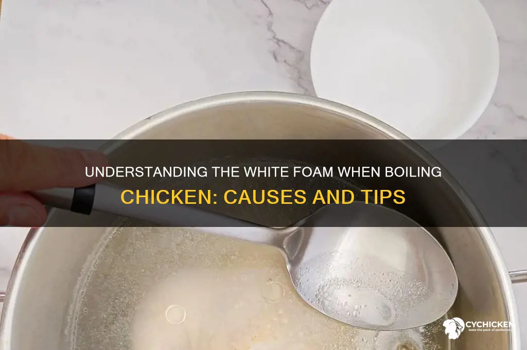 when boiling chicken what is the white foam