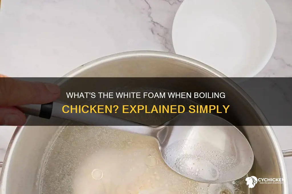 when boiling chicken what is the white stuff