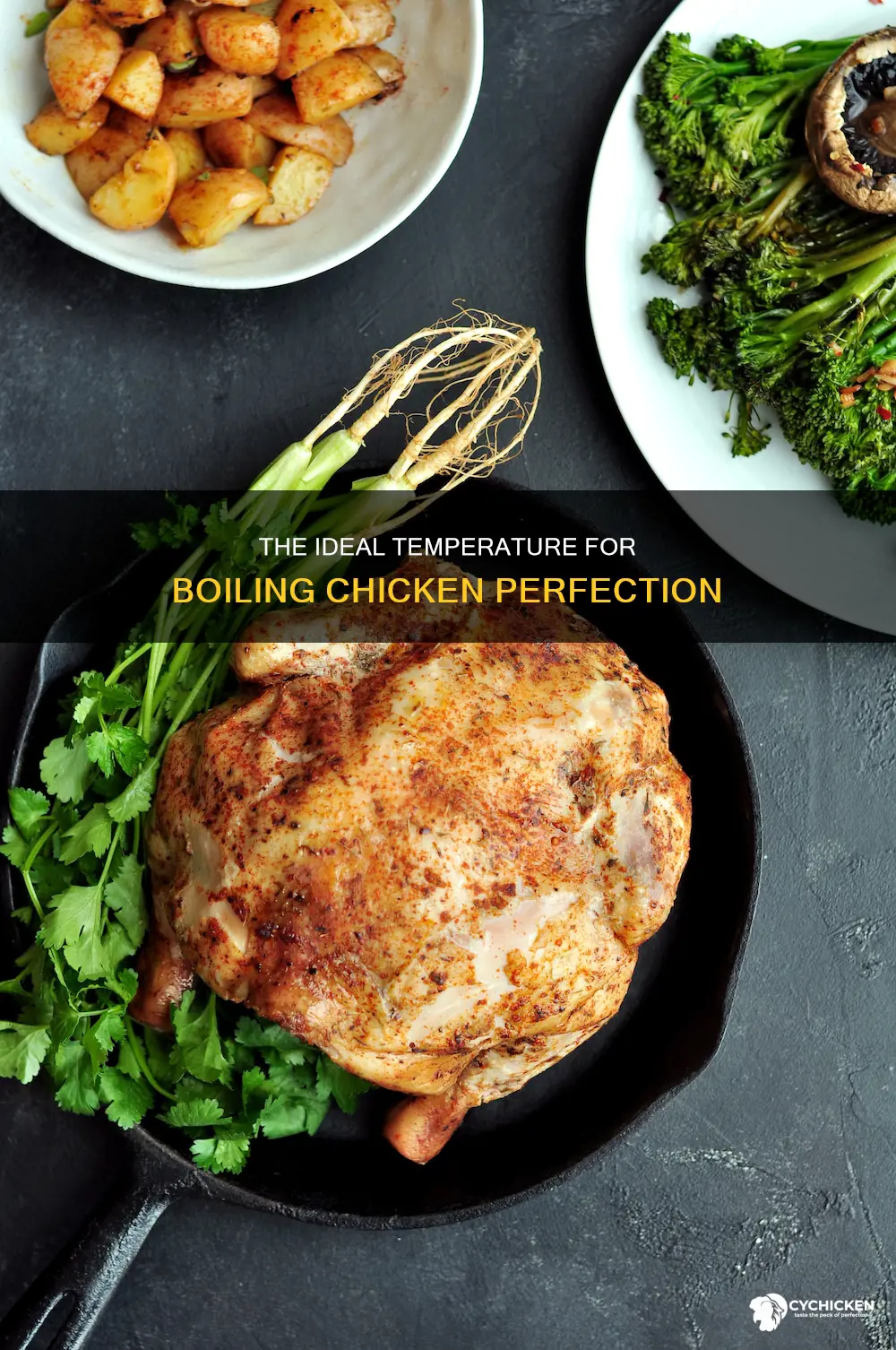 when boiling chicken what temperature should it be at
