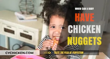 Introducing Chicken Nuggets to Your Baby: Timing and Tips for Safety