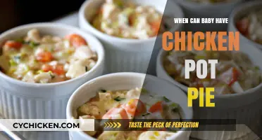 Introducing Chicken Pot Pie to Your Baby: A Guide for Parents