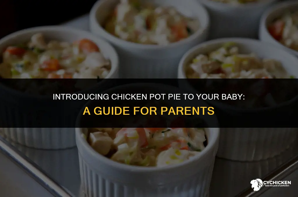 when can baby have chicken pot pie