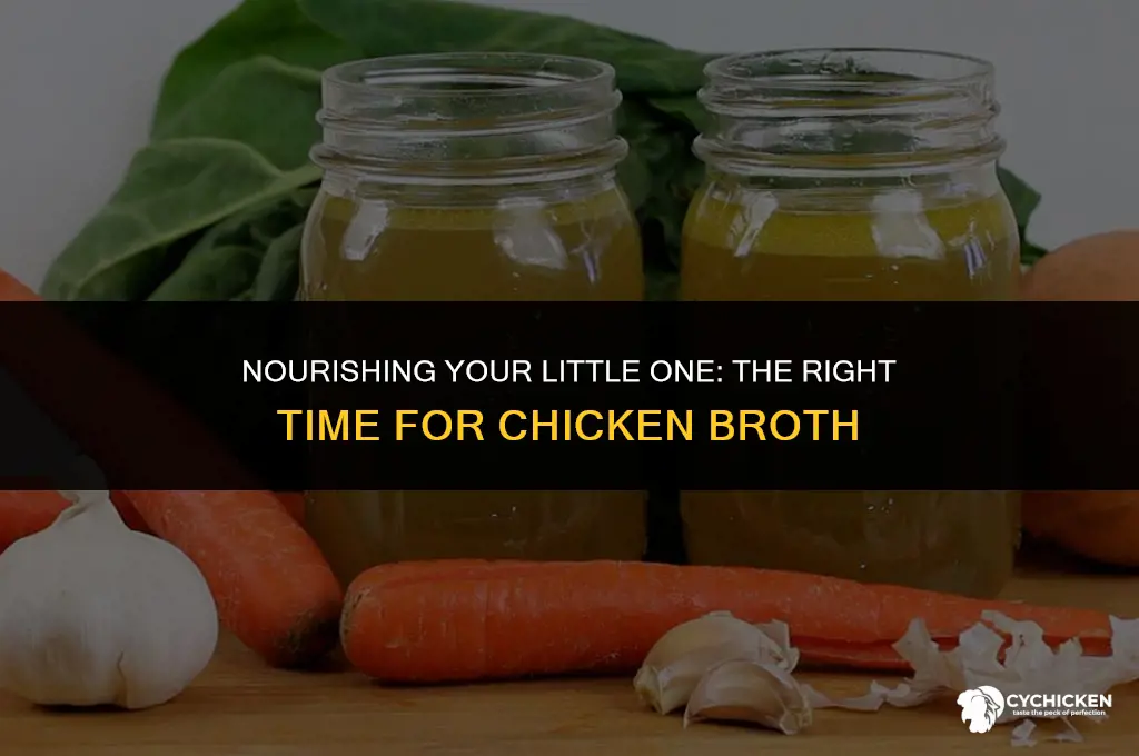 when can i feed my baby chicken broth