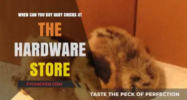 When Do Hardware Stores Stock Baby Chicks for Sale?