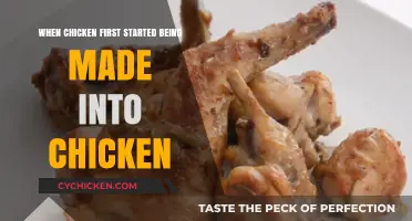 The Ancient Origins of Chicken as a Culinary Delight