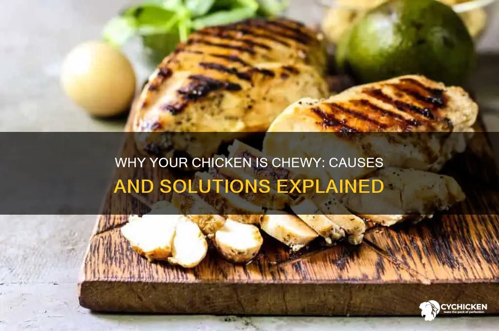 when chicken is chewy what does that mean