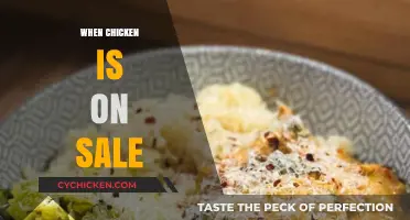 Savor the Savings: Delicious Chicken Recipes on a Budget