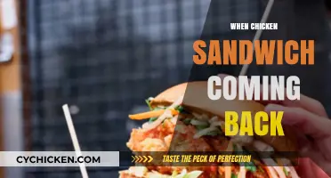 When Will the Chicken Sandwich Return? Fans Await Its Comeback