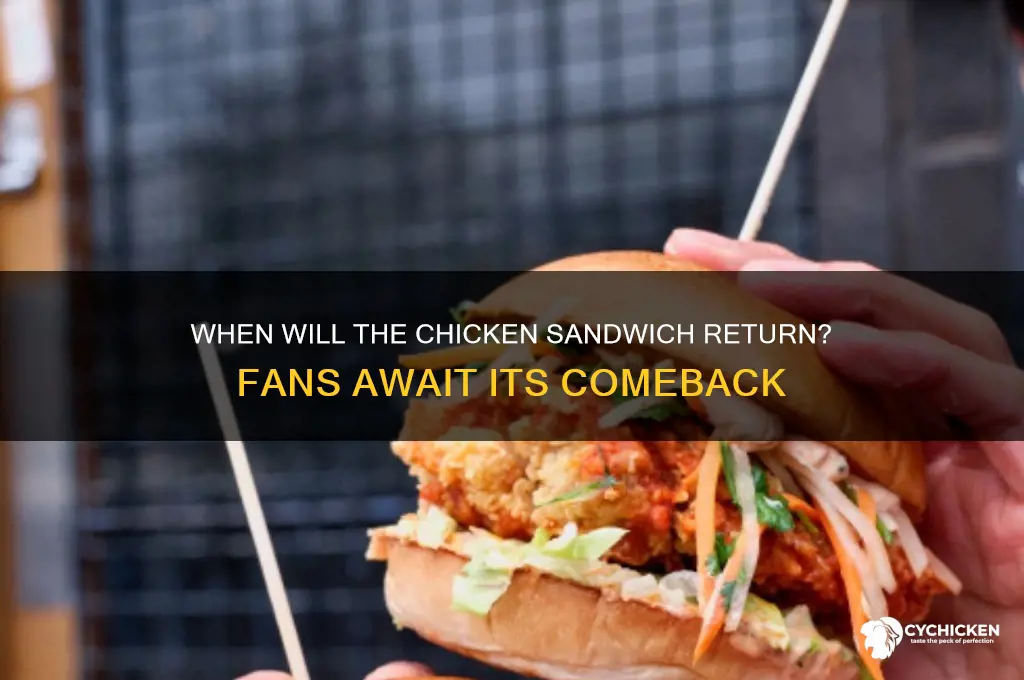when chicken sandwich coming back