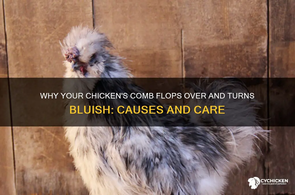 when chicken