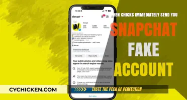 Beware: Chicks Sending Snapchat Fake Accounts – Red Flags to Watch For