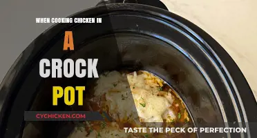 Slow Cooker Chicken: Tips, Tricks, and Timeless Recipes