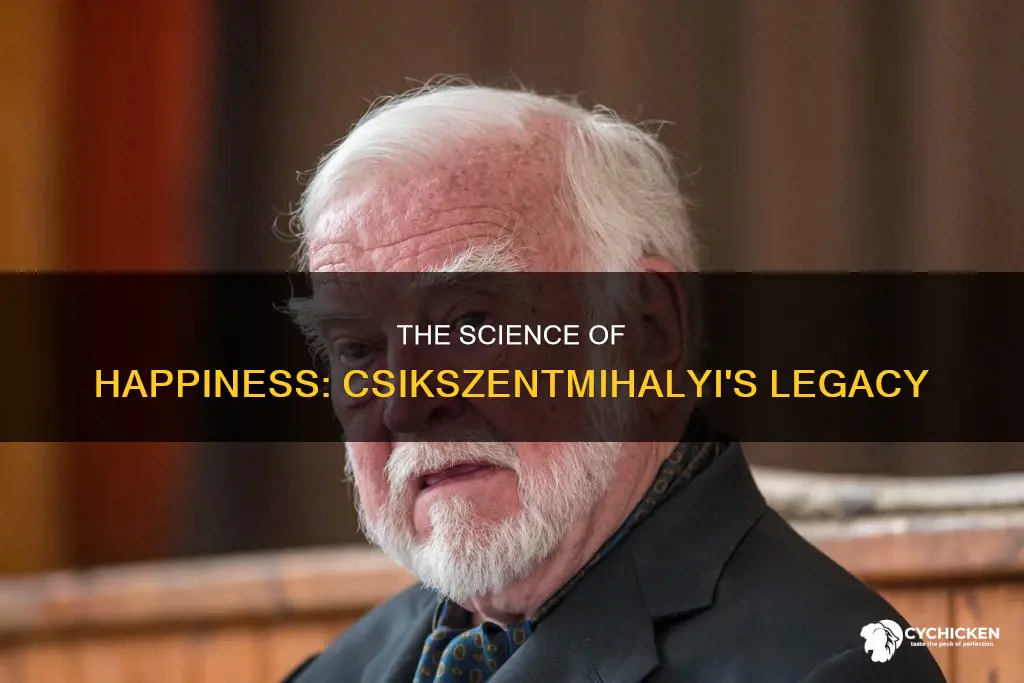 when csikszentmihalyi chick-sent-me-high-ee did his studies of happiness