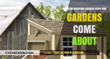 A Historical Look at Backyard Chicken Coops and Gardens