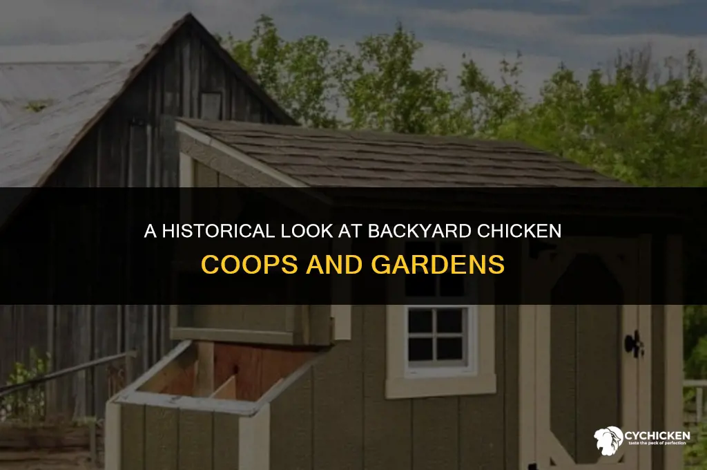 when did backyard chicken coops and gardens come about