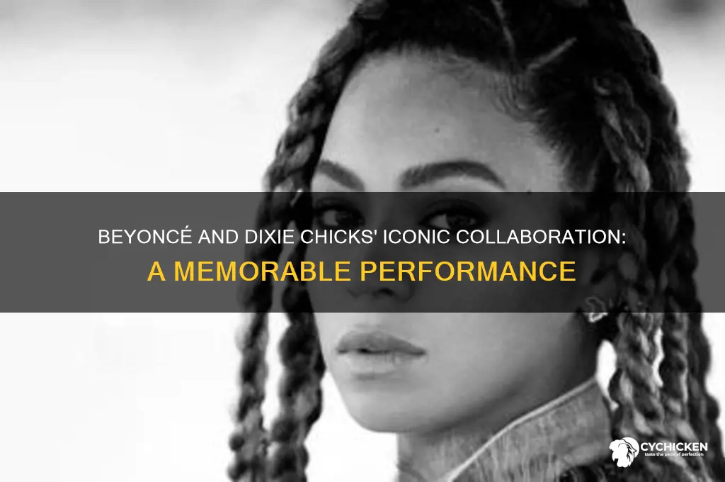 when did beyonce perform with the dixie chicks