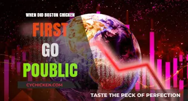 Boston Chicken's IPO Journey: When Did It First Go Public?
