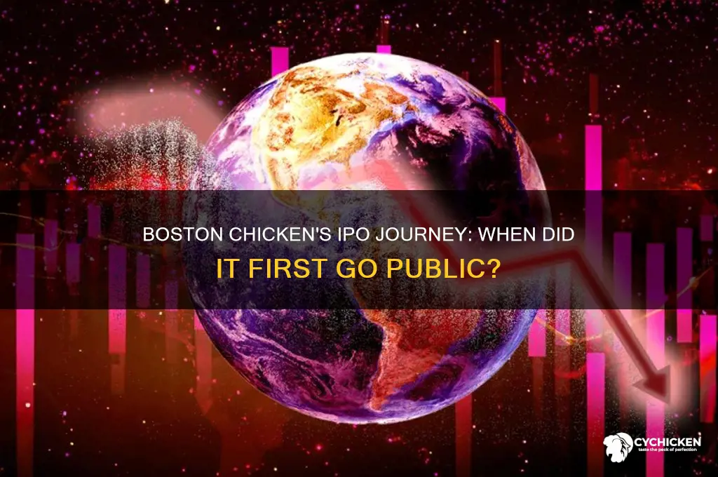 when did boston chicken first go poublic