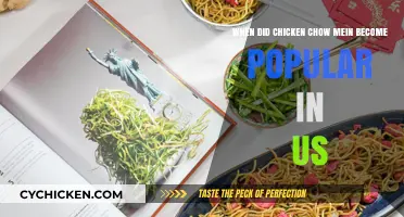 Chicken Chow Mein: The US Comfort Food Craze