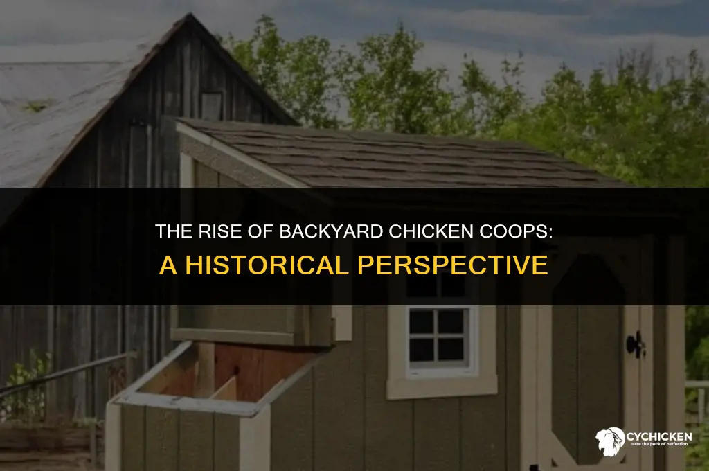 when did chicken coops start to become a trend