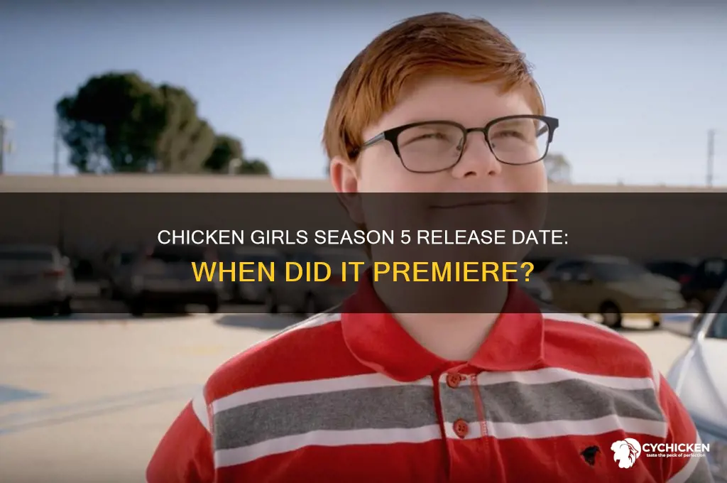 when did chicken girls season 5 come out