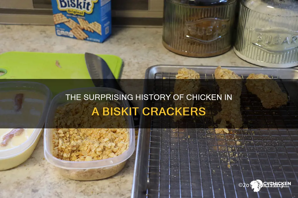 when did chicken in a biskit come out