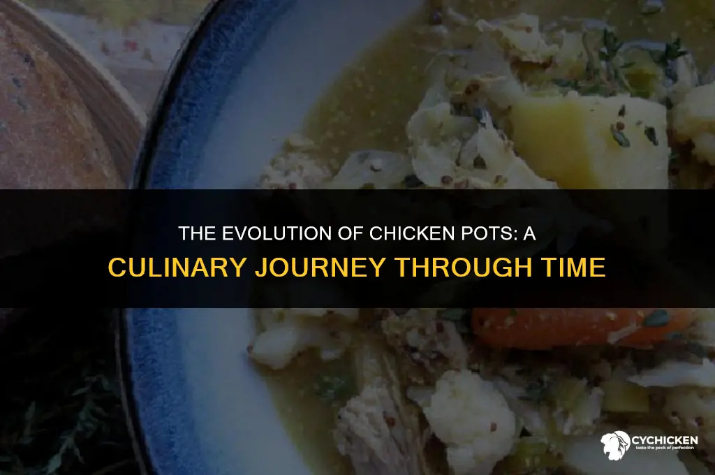 when did chicken pots came out