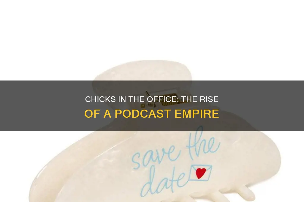 when did chicks in the office start