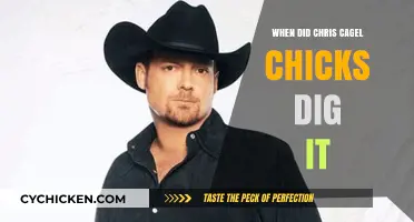 When Did Chris Cagle's 'Chicks Dig It' Hit the Charts?