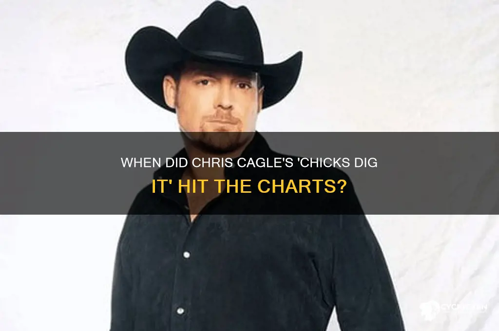 when did chris cagel chicks dig it